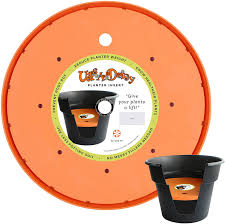 How to fill brick planters. Amazon Com Bloem T6322 6 Living T6322 Up S A Daisy Planter Insert 12 Inch Orange Garden Outdoor