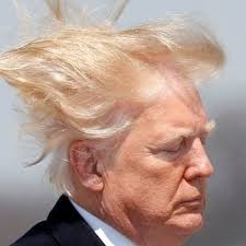 Anne Beard (@coolcolo)