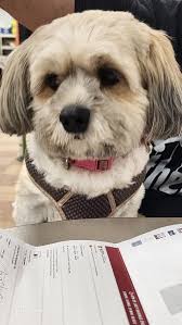 First time visitor at egg harbor store