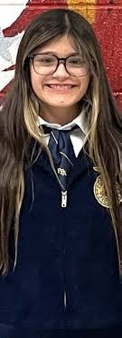 Mrs Brindle' named Teacher of the Year