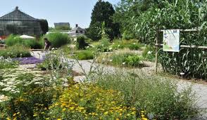 Find hotels near botanischer garten, germany online. Botanischer Garten Heidelberg