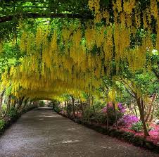 Beautiful Gardens Beautiful Gardens The Great Outdoors A Far Off Place