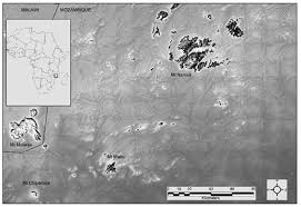 Image result for Ceropegia namuliensis