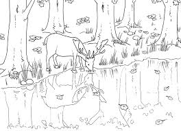 Risultati Immagini Per Disegni Da Colorare Paesaggi Naturali Disegni Disegni Di Paesaggi Disegni Da Colorare