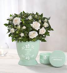 Our dedicated canadian site offers canada's finest flower and gift selections, all priced in canadian dollars and fulfilled we offer perfect gifts handcrafted by skilled florists that will leave a smile on your loved ones faces! Heartfelt Memory Rose Plant 1800flowers Com 101879