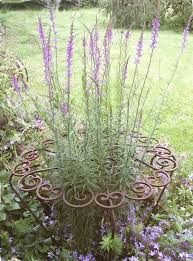 Part Of The Garden Design Is To Juxtapose Circular And Square Angular Shapes This Flower Support Will Be A Nice Contr Garden Art Garden Crafts Garden Projects