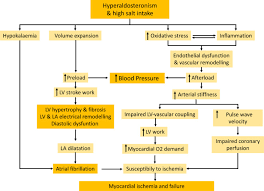 Image result for Hyperaldosteronism