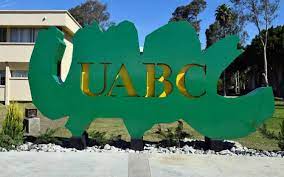 Cheer cimarrones uabc mexicali b.c. Realizara Uabc Simulacro De Examen De Admision En Linea Tribuna De San Luis Noticias Locales Policiacas Sobre Mexico Sonora Y El Mundo