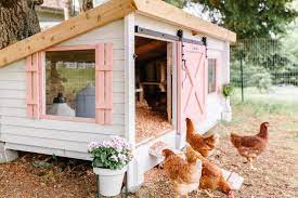 My Backyard Chicken Coop Makeover Chicken Garden Backyard Chicken Coops Cute Chicken Coops