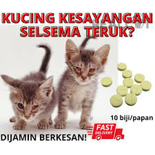 Selsema pada kucing selalunya merupakan jangkitan pernafasan yang sederhana, tetapi itulah sebabnya kucing masih memerlukan rawatan. Ubat Demam Selsema Prices And Promotions Apr 2021 Shopee Malaysia