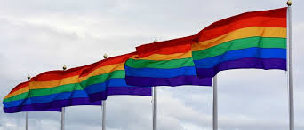 Volgens de rainbow index van ilga staat italië van de 49 landen op plaats 38, nederland. Bureau Spotlight Onderzoekt Inclusie Van Lhbti Ers In Regio Foodvalley Bureau Spotlight