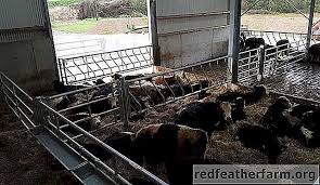 مشروع مزرعة مشروع مزرعة الألبان خطة المزرعة صورة الحيوانات 2020 farm design design farm