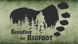 Scouting for Bigfoot: A Family Forest Adventure