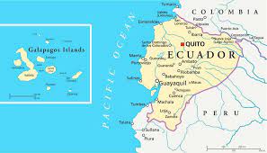 The galapagos islands is one of the best places to travel in south america, with some of the world's best wildlife viewing and scores of species found nowhere else on earth. Latin Roots Travel The Galapagos Islands Are Located Off The Coast Of South America They Belong To Ecuador And Are Found About 960 Kilometers 563 Miles West Of The Mainland The
