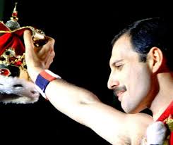 We did not find results for: Freddie Mercury Fabuloasa Poveste Din Spatele Scenei Video Evenimentul Zilei