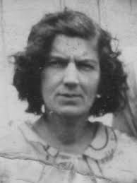 Adcox Family History: Last Name Origin & Meaning