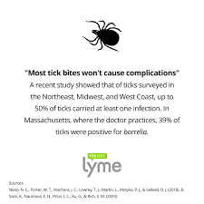 Image result for Tick Bite