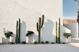 With national car rental at los cabos international airport (sjd) you benefit from great rates, first class service and the emerald club loyalty program. 5 Must Stay Design Hotels In Baja California Sur Hotels Design Baja California Sur Baja California