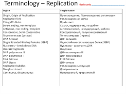 Dna replication video animation (amoeba sisters). Dna Replication Rna Structure Function And Compare Dna Rna Online Presentation