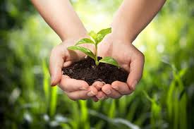 Agriculture is the process of producing food, feed, fiber and many other desired products by the cultivation of at the other end is commercial intensive agriculture, including industrial agriculture. Agricultural Development Research Eria