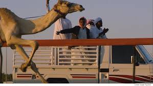 Al marmoom smart camel racing track. Kamelrennen Gelebte Tradition In Dubai Euronews