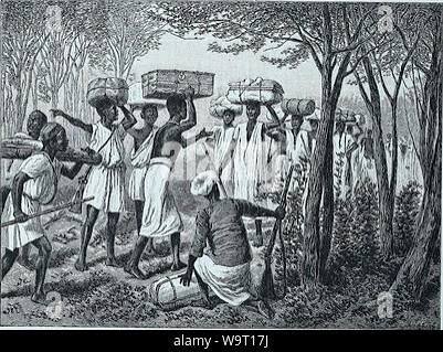 Discovery of lakes Rudolf and Stefanie; a narrative of Count Samuel Teleki's exploring &amp; hunting expedition in eastern equatorial Africa in 1887 &amp; 1888. MY FIRST HIPPOPOTAMUS 63 great crash, and
