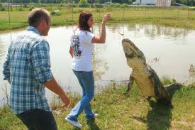 Chomping at the Trip | Texas Co-op Power