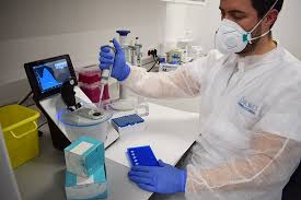 This pcr introduction will demonstrate that pcr is a fundamental technique used to amplify fragments of dna, frequently using the taq polymerase to. Un Nuevo Test Genetico Pcr Creado En Espana Permitira Realizar 7 000 Pruebas Diagnosticas Diarias De La Covid 19 Ascires