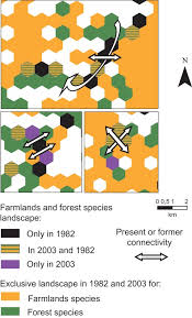 Academic details on key topics are explained straightforwardly for an accessible. Assessing Functional Connectivity A Landscape Approach For Handling Multiple Ecological Requirements Mimet 2013 Methods In Ecology And Evolution Wiley Online Library