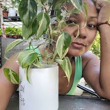 Propagation station house plants in Polo, IL