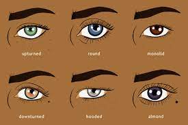 (2) when someone's eyelids have drooped as part of an expression of desire. What Is My Eye Shape Everything You Need To Know About Your Eye Shape Makeup For Eye Shape Instyle