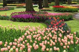 Maybe you would like to learn more about one of these? Sky Blue Color Flower Free Stock Photos Download 30 415 Free Stock Photos For Commercial Use Format Hd High Resolution Jpg Images
