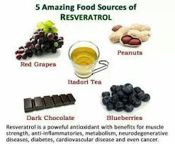 resveratrol food source facts food health nutrition