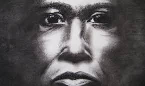 Illustration Portfolios