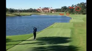 What did randy johnson do with his fastball? Watch Golfer Hits Bird In Randy Johnson Like Tee Shot Cbssports Com