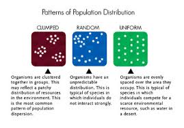 What city has the highest population density in the world? 6 17 Population Size Density And Distribution Biology Libretexts