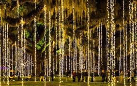 20 Christmas Light Shows Across The U S That Will Get You In The Holiday Spirit Exterior Christmas Lights Christmas Garden Christmas Lights