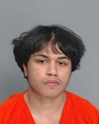PRADO EMMANUEL DAVID Age: 19 Charges: Charge Code: 10990019 Charge  Description: UNLAWFUL RESTRAINT Charge Date: 02/22/2025 16:41:00 UTC Bond  Type: BAIL Bond Amount: $1500.00 Disposition Description: Currently  Unavailable