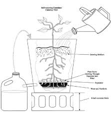 My color choice for the kingsfords briquettes are blue buckets. Self Watering Containers University Of Maryland Extension