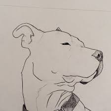 5 Astounding Exercises To Get Better At Drawing Ideas Pitbull Drawing Pitbull Art Cool Art Drawings
