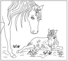 Kleurboek paarden voor volwassenen kleurplaten 30 op deze pagina vind je zon 30 gedetailleerde paarden kleurplaten in zentangle stijl uit het kleurboek horse coloring pages for adults van peaksel. Paard En Veulen Kleurplaten Gratis Kleurplaten Paarden