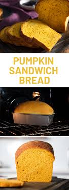 We did not find results for: A Pumpkin Bread Made For Sandwiches Not Dessert Pumpkin Bread Bread Recipes Sweet Pumpkin Bread Recipe
