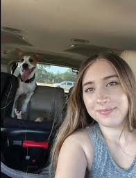 Nail clipping and bathing services for Great Danes