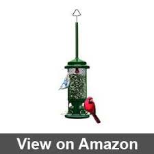 It's easy to make and can be a great solution for squirrel proofing an existing bird feeder. 10 Best Squirrel Proof Bird Feeders For Backyard In 2021 Test10best