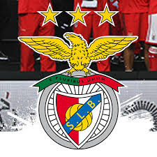 It is also called a catedral (the cathedral) by benfica's supporters. Adeptos Do Sport Lisboa E Benfica Home Facebook