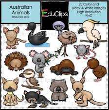 Teachers Notebook Australian Animals Cute Australian Animals Australia Animals
