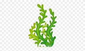 Choose your favorite weed drawings from millions of available designs. Seaweed Clipart Page 5 Clipart Ideas Reviews Clip Art Sea Weed Free Transparent Png Clipart Images Download