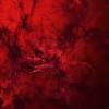 | see more black wallpaper, amazing black wallpapers, black victorian wallpaper, black pink wallpaper, black floral wallpaper, black dinosaur wallpaper. Https Encrypted Tbn0 Gstatic Com Images Q Tbn And9gcqjjf7h6xwoldaoy38x37tsynghedmnz0rh7sz1y Pn59 M2lea Usqp Cau