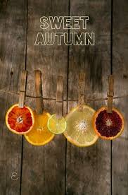 Imagem De Autmn Fall And Orange Food Art Photography Fruit Photography Citrus Fruit