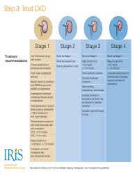 Iris staging allows characterization of patient status in the medical record in a shorthand format that facilitates rapid recognition of status, disease progression. Treatmentpdf Chronic Kidney Disease Rtt